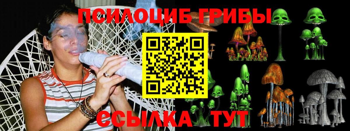 Мелеуз  Галлюциногенные грибы Psilocybe  Вход с VPN 