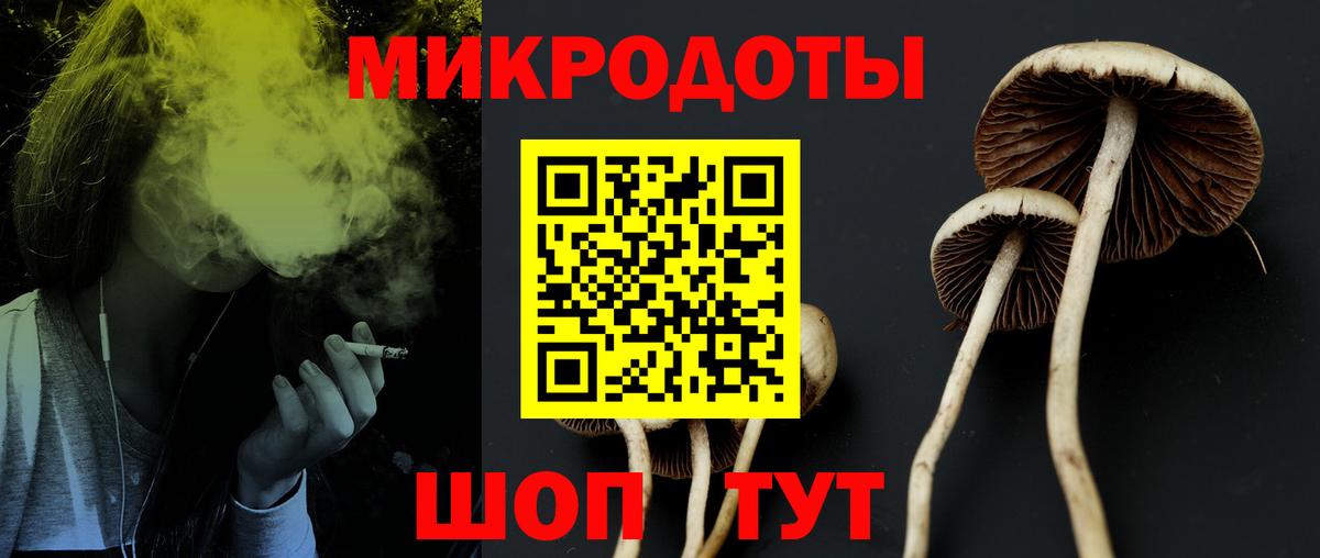 Псилоцибиновые грибы мицелий Мелеуз